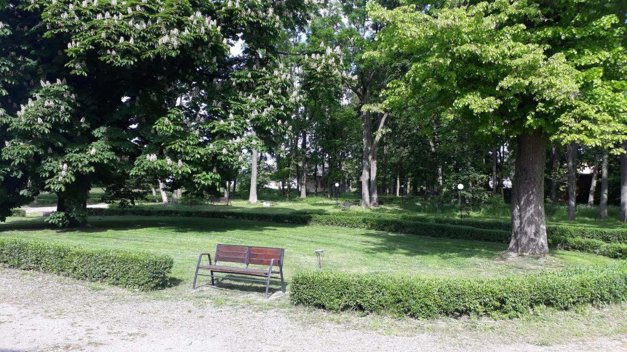 Dwór Strzyżew Acomodação com café da manhã Zelazowa Wola Exterior foto
