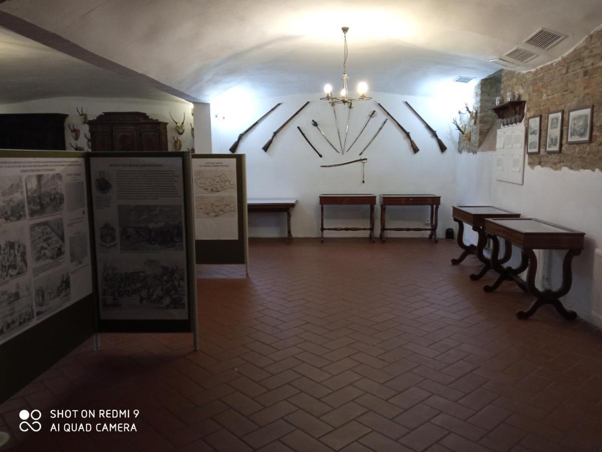 Dwór Strzyżew Acomodação com café da manhã Zelazowa Wola Exterior foto
